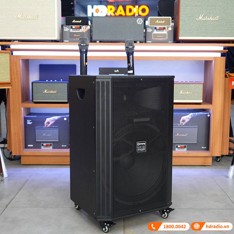 Loa kéo Arirang MK40C-2