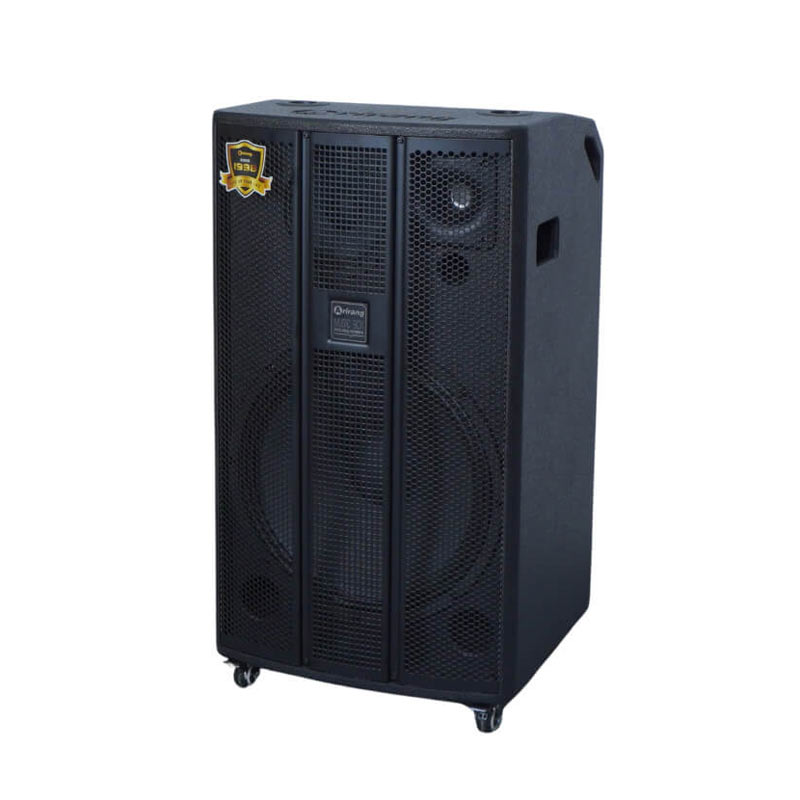 Loa Arirang MK1 Max, Bass 40cm, Công suất 300W, Bluetooth 5.0, Kèm 2 tay micro-2