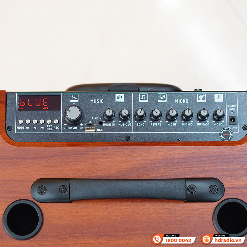 Loa Arirang MKS2.5, Bass 30cm, Công suất 100W, Bluetooth, USB, Guitar, Kèm 2 micro-9