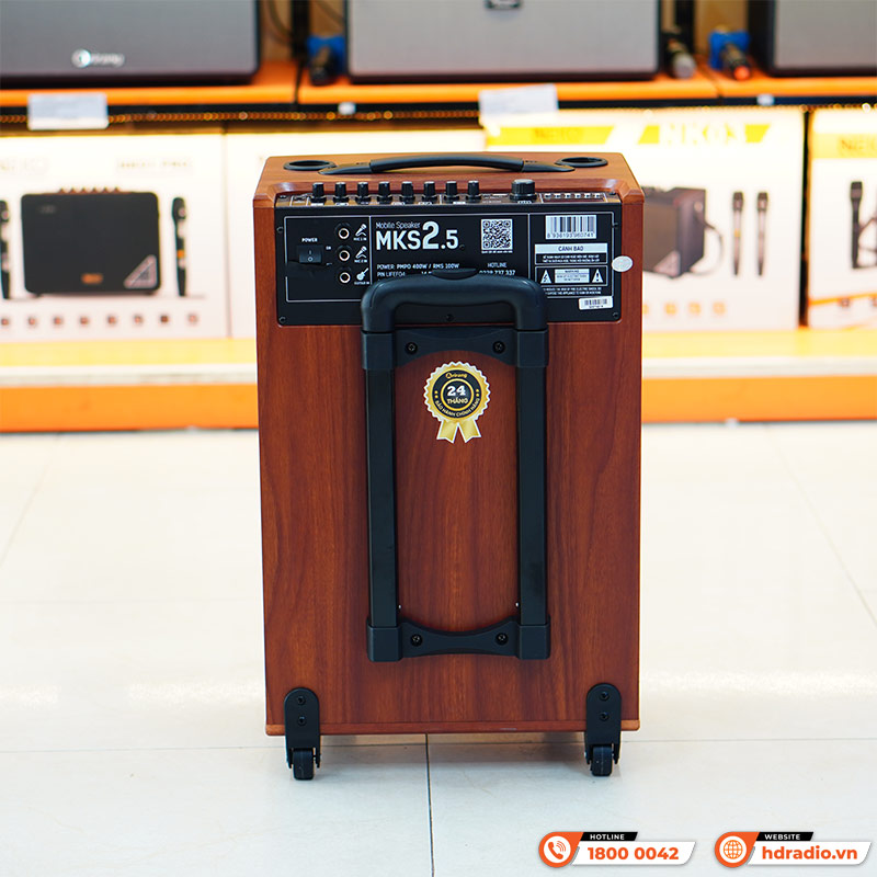 Loa Arirang MKS2.5, Bass 30cm, Công suất 100W, Bluetooth, USB, Guitar, Kèm 2 micro-5