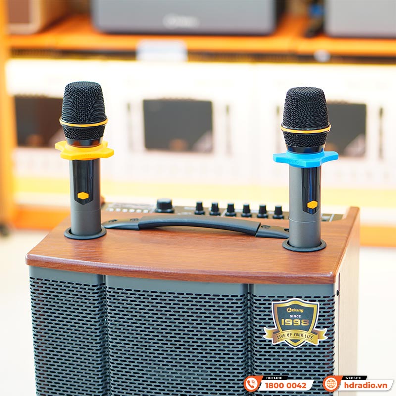 Loa Arirang MKS2.5, Bass 30cm, Công suất 100W, Bluetooth, USB, Guitar, Kèm 2 micro-10