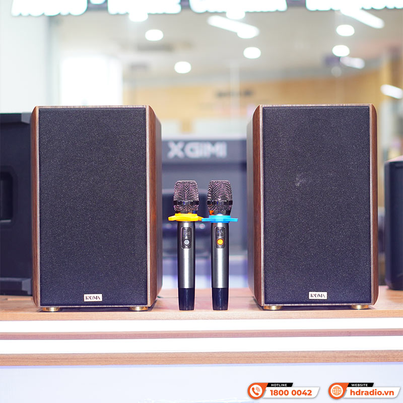 Dàn loa Kadma BS36i (Công suất 240W, Đi Kèm 2 mic, điều khiển, Bluetooth, Optical, Echo)-2