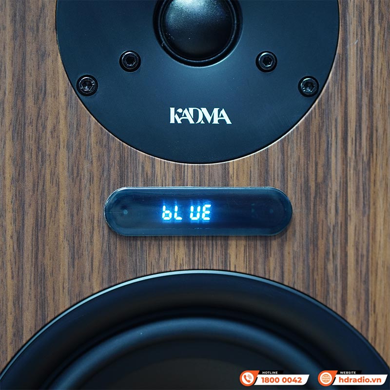 Dàn loa Kadma BS36i (Công suất 240W, Đi Kèm 2 mic, điều khiển, Bluetooth, Optical, Echo)-10