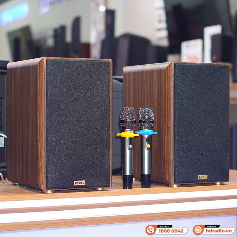 Dàn loa Kadma BS36i (Công suất 240W, Đi Kèm 2 mic, điều khiển, Bluetooth, Optical, Echo)-3