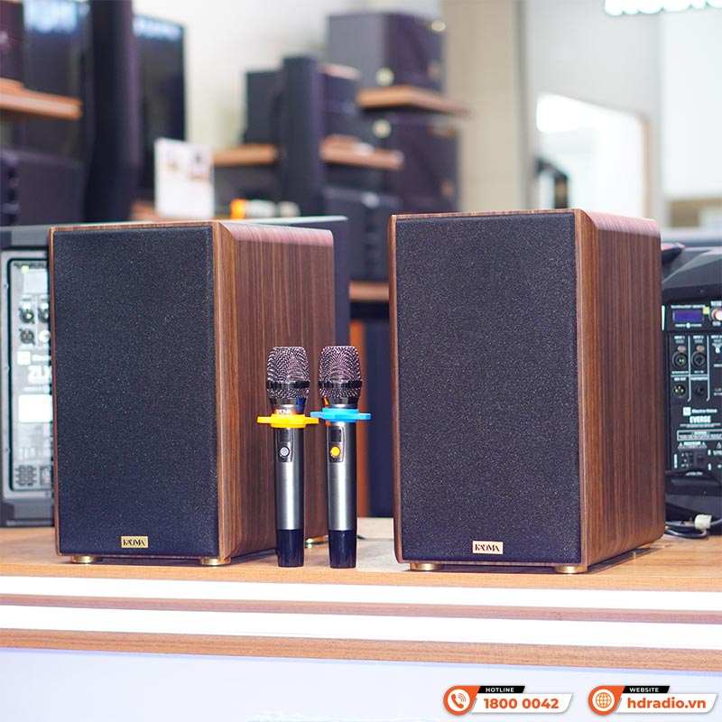 Dàn loa Kadma BS36i (Công suất 240W, Đi Kèm 2 mic, điều khiển, Bluetooth, Optical, Echo)-4