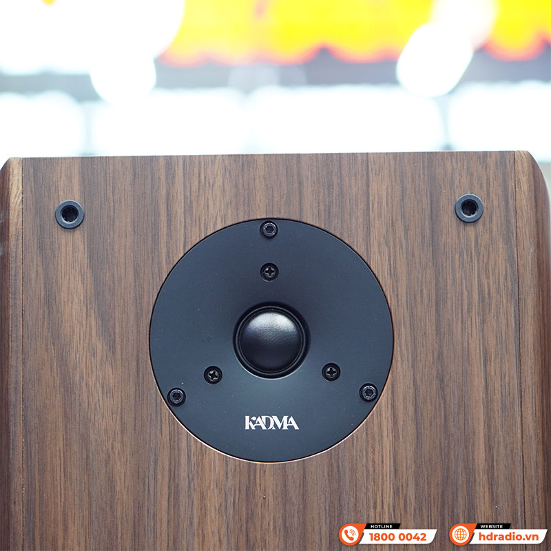 Dàn loa Kadma BS36i (Công suất 240W, Đi Kèm 2 mic, điều khiển, Bluetooth, Optical, Echo)-8