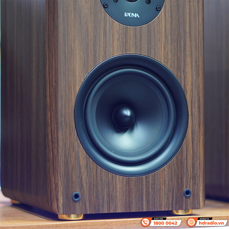 Dàn loa Kadma BS36i (Công suất 240W, Đi Kèm 2 mic, điều khiển, Bluetooth, Optical, Echo)-9