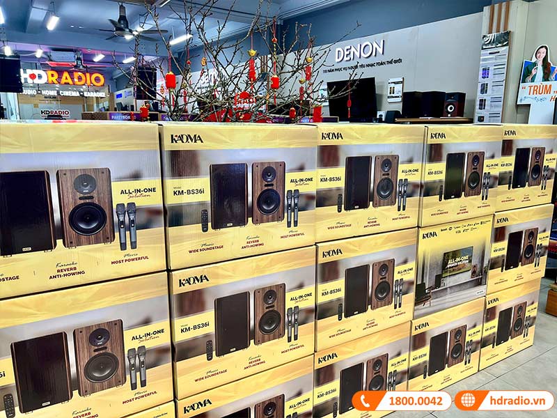 Dàn loa Kadma BS36i (Công suất 240W, Đi Kèm 2 mic, điều khiển, Bluetooth, Optical, Echo)-18