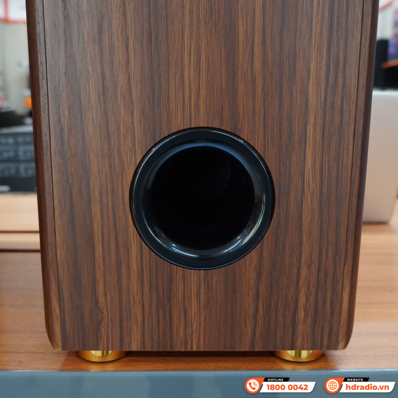 Dàn loa Kadma BS56 ( 3 Đường Tiếng, Công Suất 300W, Bluetooth, Optical, HDMI, Kèm 2 mic, điều khiển )-8