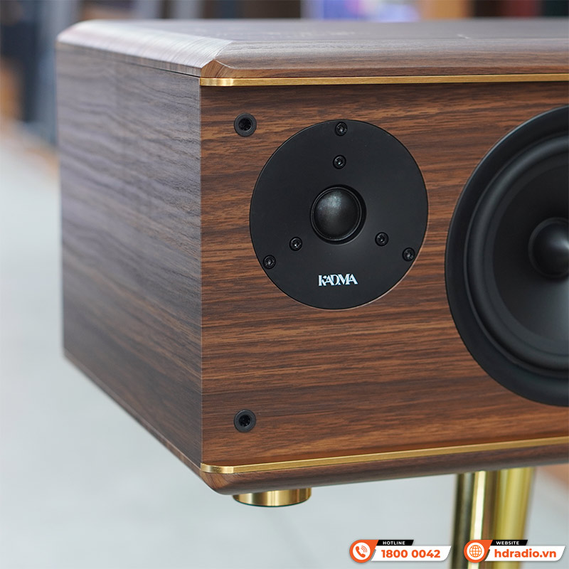 Dàn loa Kadma BS63 (công suất 240W, 2 mic, Điều khiển, Bluetooth, Optical, HDMI ARC)-5