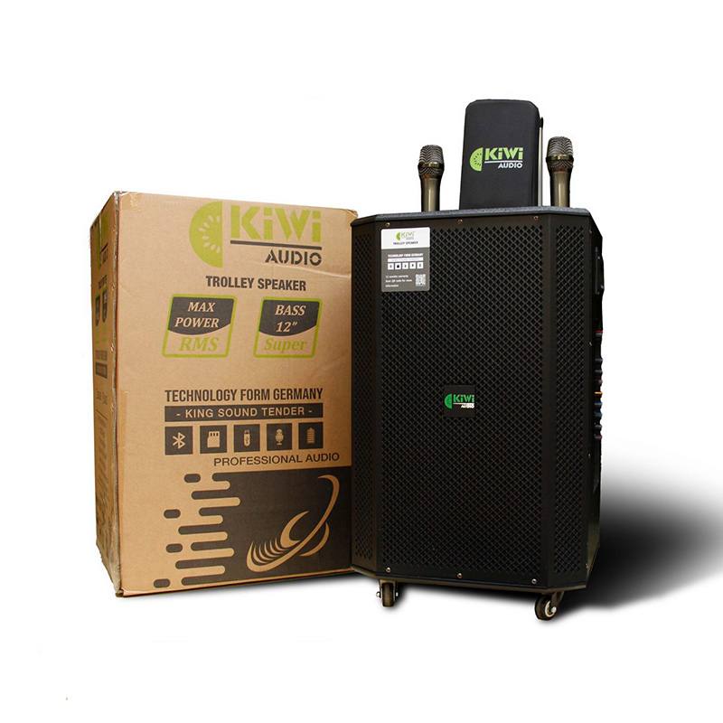 Loa Kiwi K6012, 300W, Bluetooth 5.0, Pin 6h-5