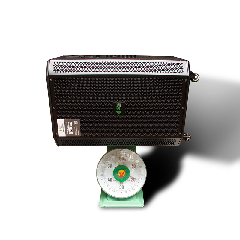 Loa Kiwi K6012, 300W, Bluetooth 5.0, Pin 6h-4