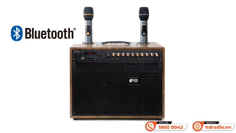  Loa xách tay Kiwi LX10