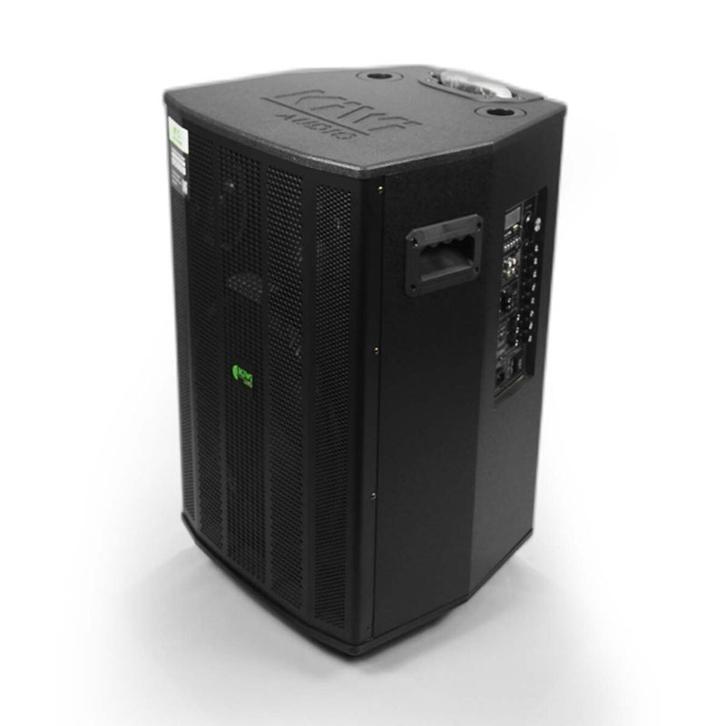 Loa Kiwi XT15, 800W, Bass 40cm, Kèm 2 Tay mic-3