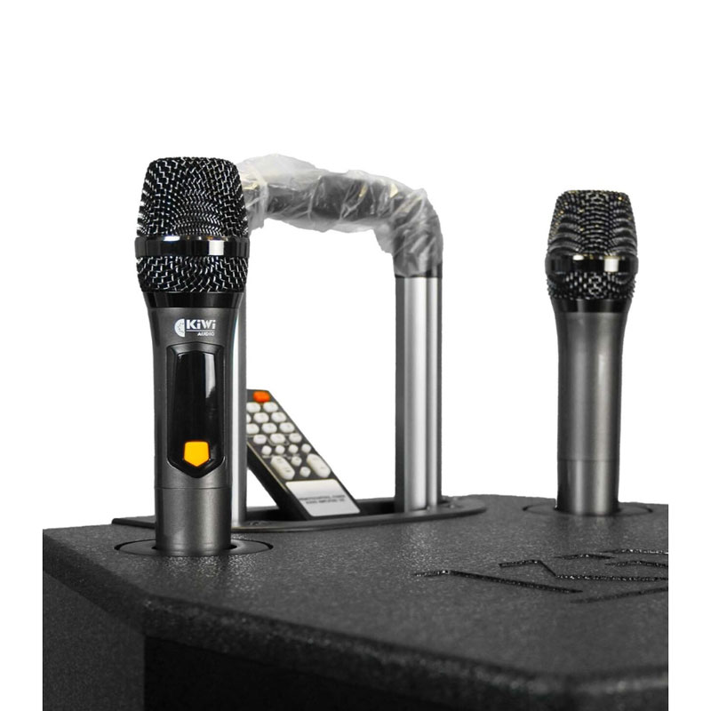 Loa Kiwi XT15, 800W, Bass 40cm, Kèm 2 Tay mic-5