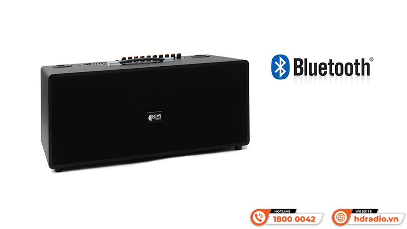 Loa xách tay Kiwi XT220