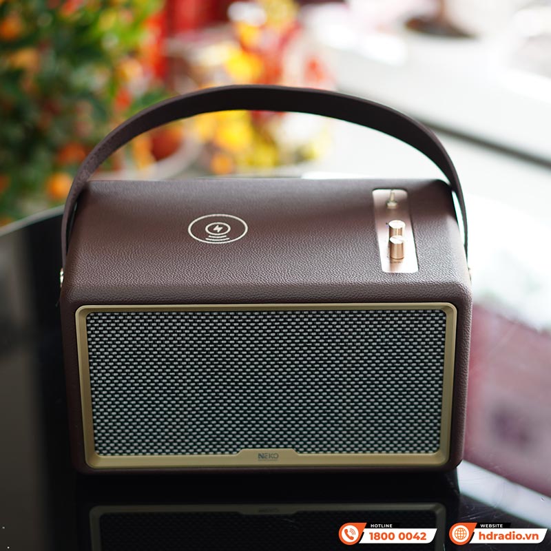 Loa NEKO UK100-8