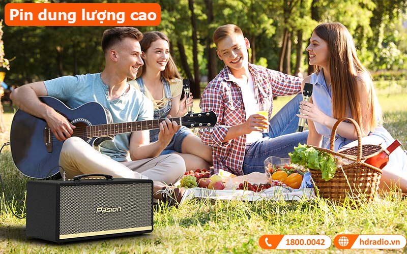 Loa Paramax Pasion 2 pin dung lượng cao