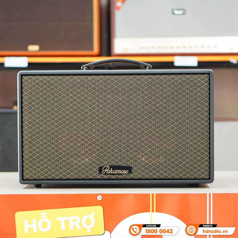 Loa Paramax Aura, Công suất 250W, Pin Từ 3-5 Giờ, Bluetooth 5.3, USB, HDMI (ARC), Optical, AUX, Kèm 2 Micro-3