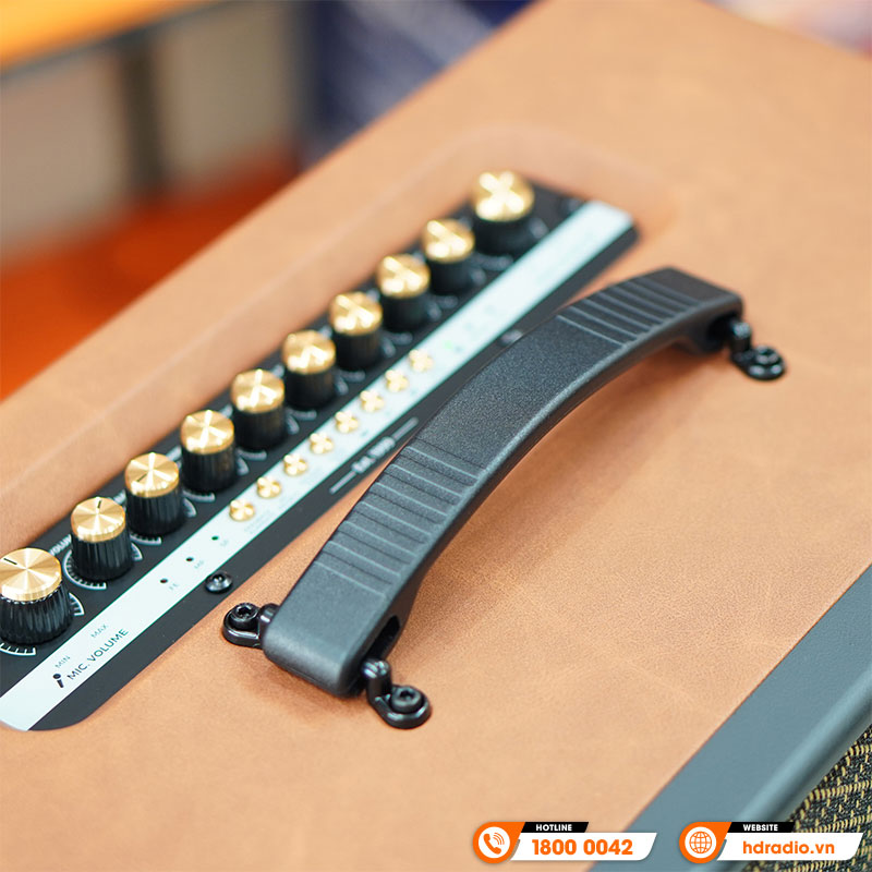 Loa Paramax Aura, Công suất 250W, Pin Từ 3-5 Giờ, Bluetooth 5.3, USB, HDMI (ARC), Optical, AUX, Kèm 2 Micro-8