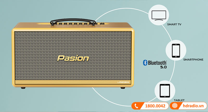 Loa Paramax Pasion 2C