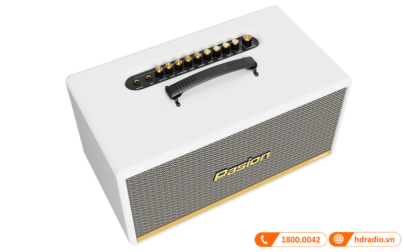 Loa Paramax Pasion 2C