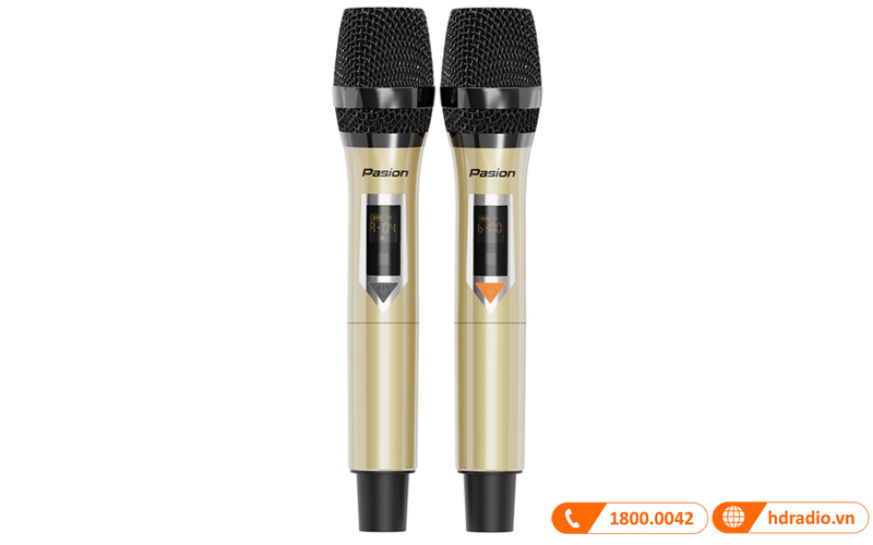 Loa Paramax Pasion 2C-10