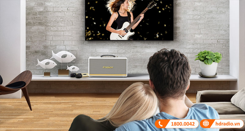 Loa Paramax Pasion 2C