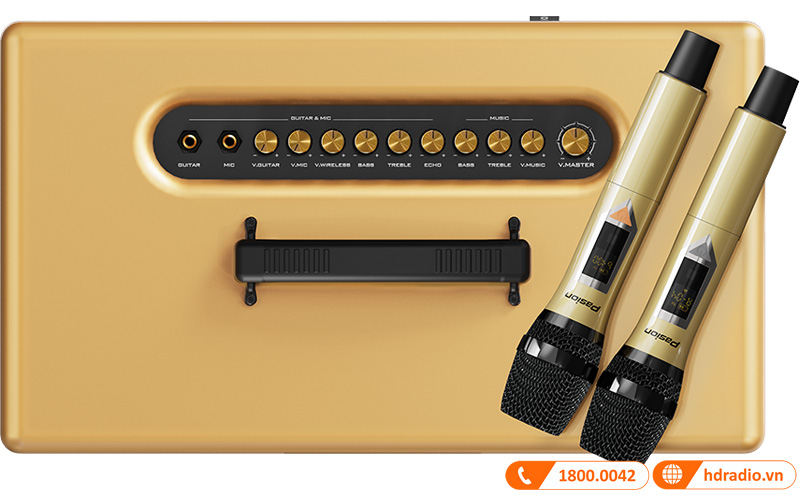 Loa Paramax Pasion 2C-8