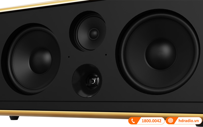 Loa Paramax Pasion 2C