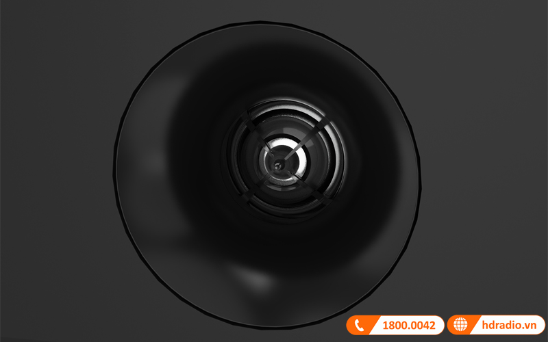 Loa Paramax Pasion 2C