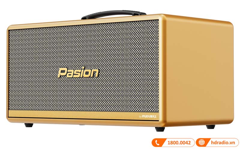 Loa Paramax Pasion 2C-4