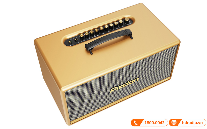 Loa Paramax Pasion 2C