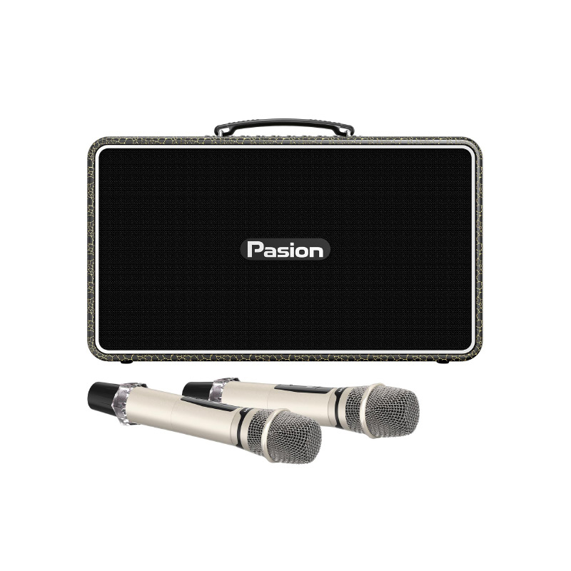 Loa Paramax Pasion Arte, Công suất 225W, Bluetooth 5.3, Kèm 2 mic