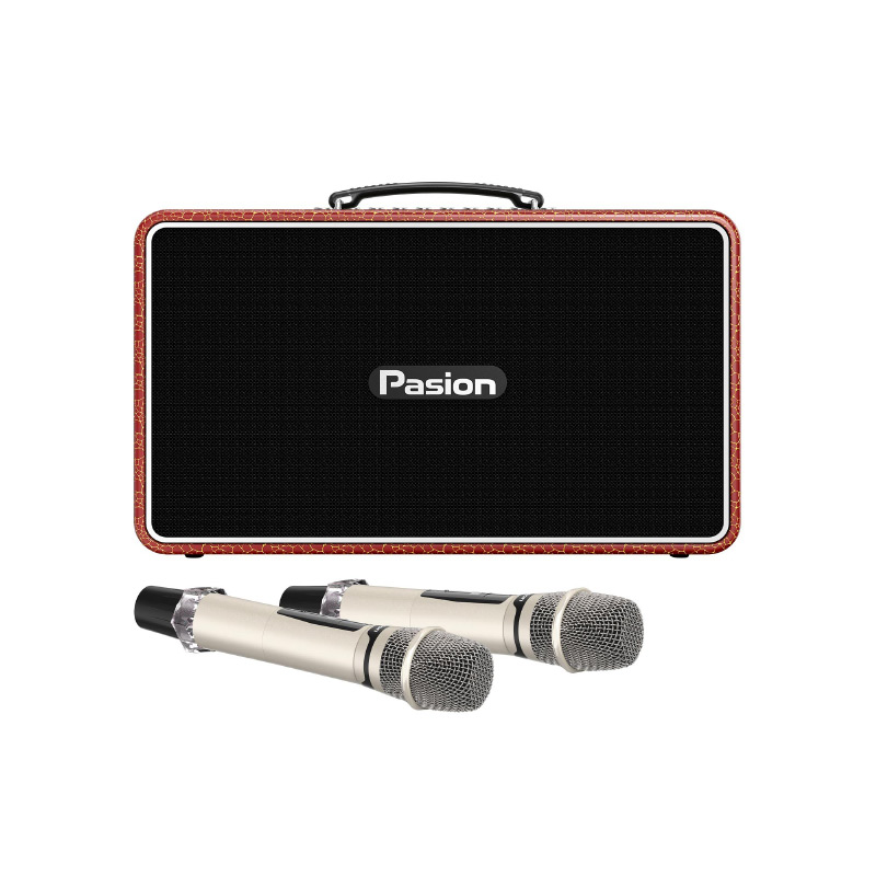 Loa Paramax Pasion Arte, Công suất 225W, Bluetooth 5.3, Kèm 2 mic-3