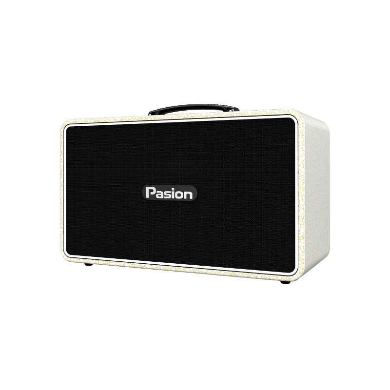 Loa Paramax Pasion Arte, Công suất 225W, Bluetooth 5.3, Kèm 2 mic-6