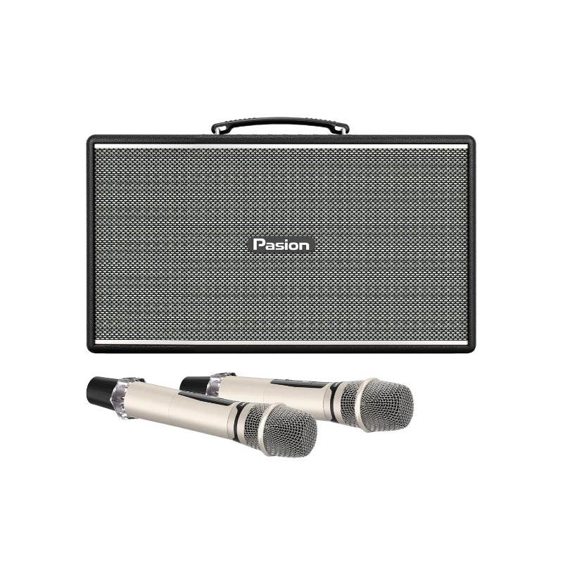 Loa Paramax Pasion Enzo, Công suất 225W, Bluetooth 5.3, Lithium-iron, Kèm 2 Micro