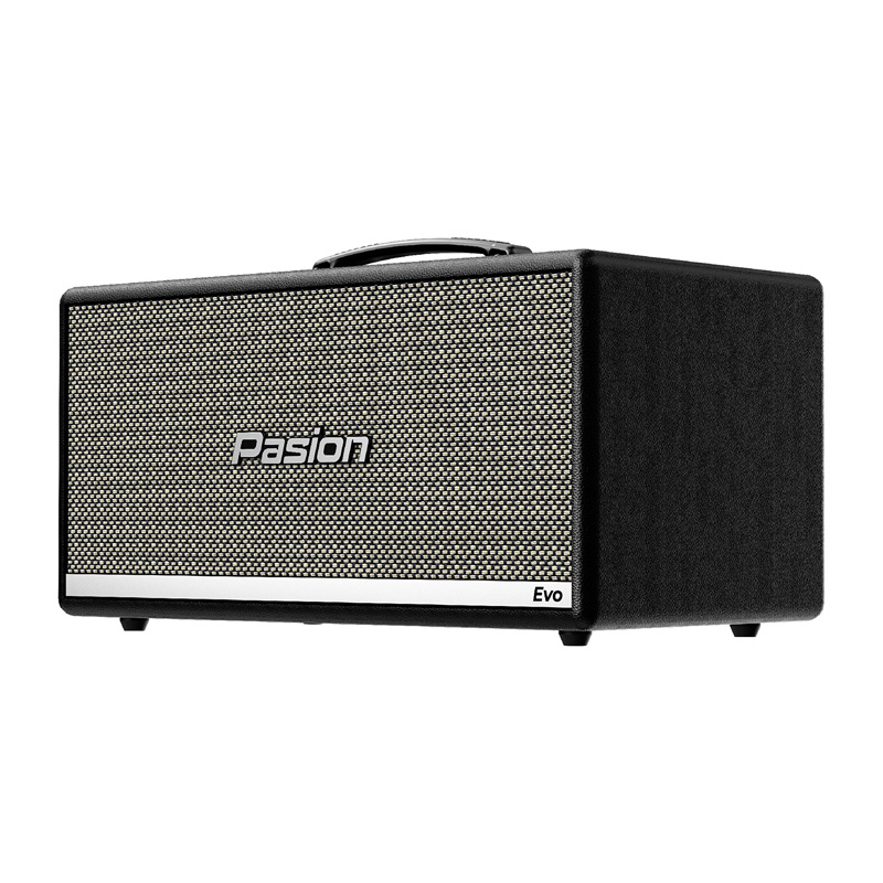 Loa Paramax Pasion Evo, Bass 16.5cm, 210W, Bluetooth 5.3, Kèm 2 tay mic (NEW 2025)-3