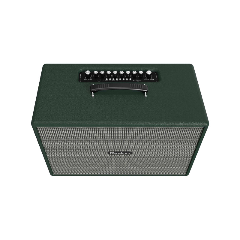 Loa Paramax Pasion Mozo, Bass 20cm, Công suất 275W, Bluetooth 5.3, Livestream-6