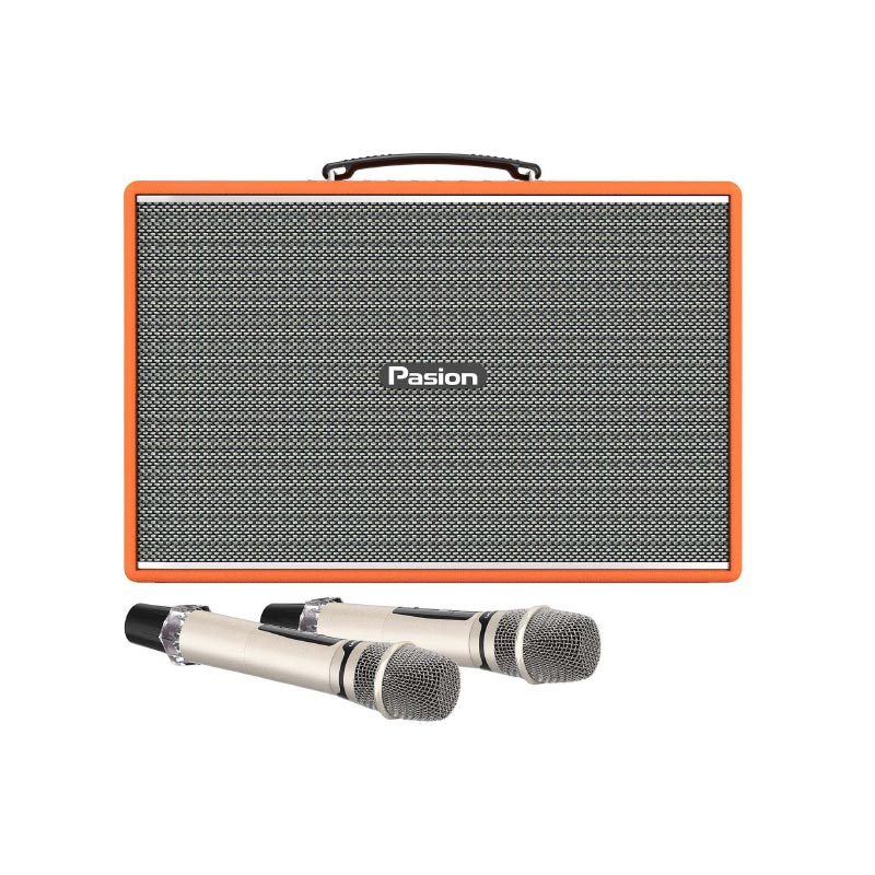 Loa Paramax Pasion Mozo, Bass 20cm, Công suất 275W, Bluetooth 5.3, Livestream-3
