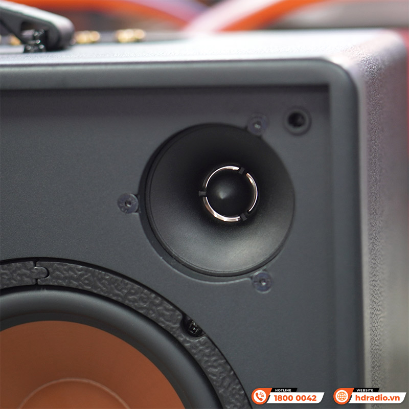 Loa Paramax Saga, Bass 20cm, Công suất 300W, Bluetooth 5.3, Kèm 2 tay micro (NEW 2025)-11