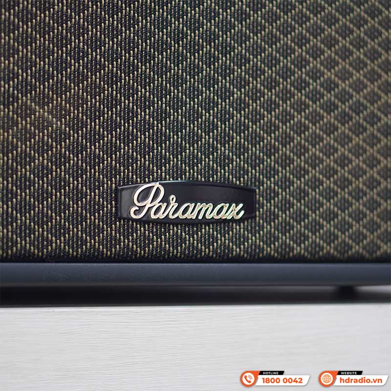 Loa Paramax Saga, Bass 20cm, Công suất 300W, Bluetooth 5.3, Kèm 2 tay micro (NEW 2025)-3