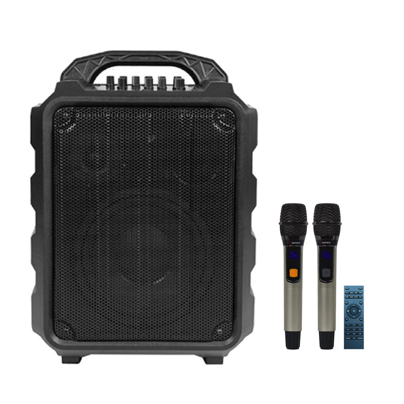 Loa Sumico H8P, Bass 20cm, 100W, Pin 8h, Bluetooth 5.0