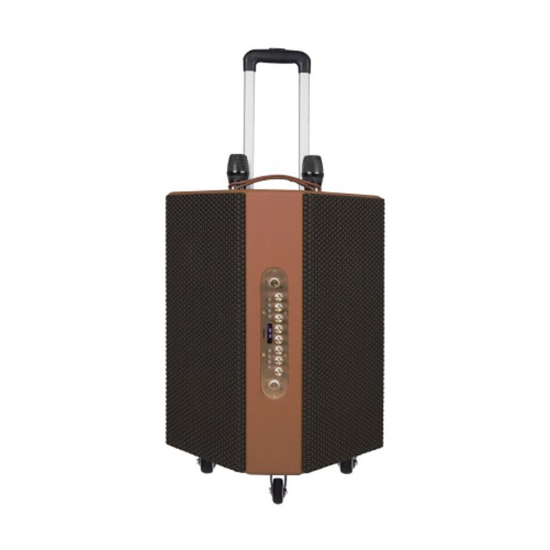 Loa Sumico Hexagon Plus, Bass 16.5cm, Công suất 250W, Pin 8h, Đa Hướng, Kèm 2 Micro