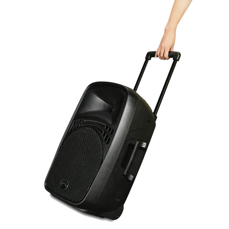 Loa Wharfedale EZ 12A-6