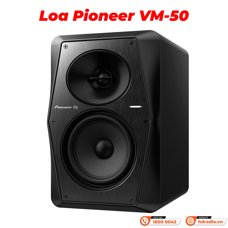 Loa Pioneer VM-50