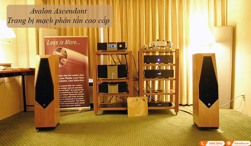 Loa Đứng Avalon Ascendant