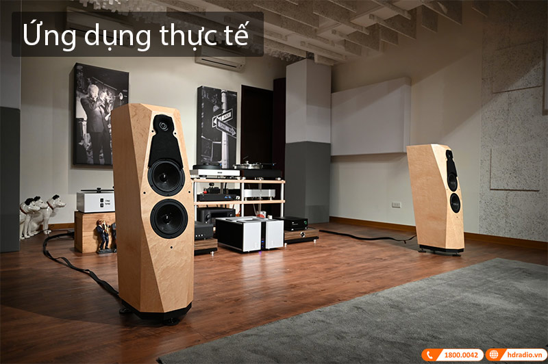 Loa Đứng Avalon Precision Monitor 1