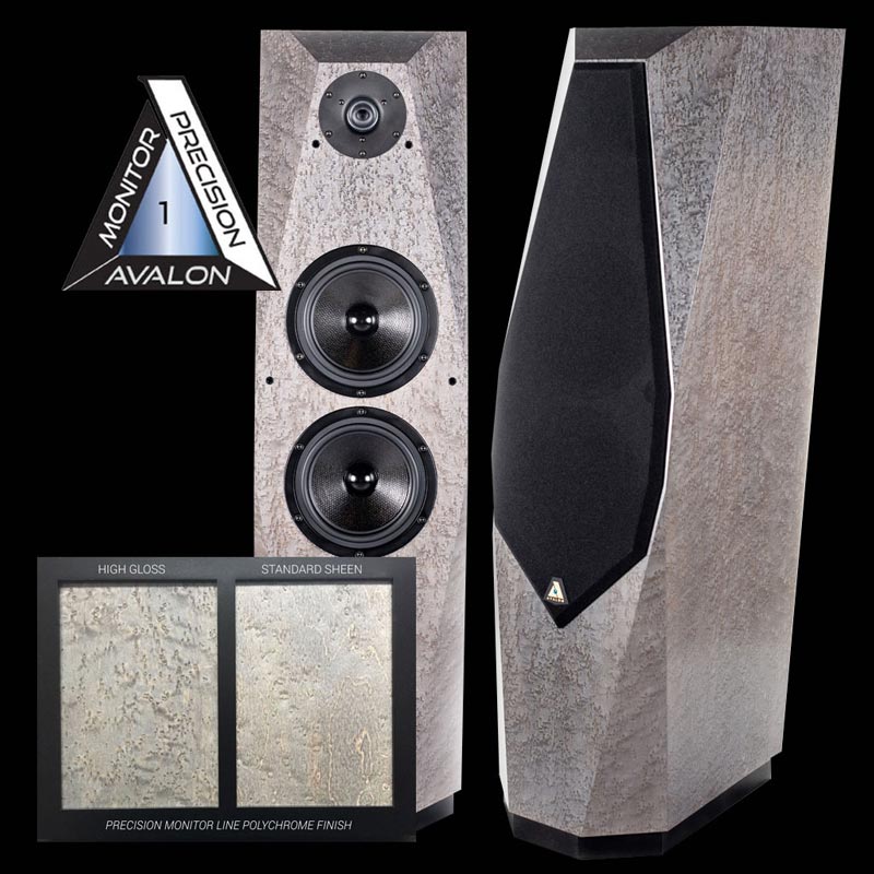 Loa Đứng Avalon Precision Monitor 1