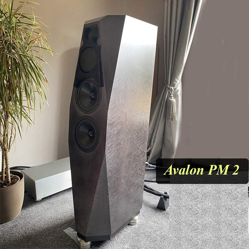 Thùng loa Precision Monitor 2 được chế tạo hoàn toàn từ gỗ MDF cao cấp, phủ ngoài một lớp veneer nổi lên những đường vân gỗ Loa Avalon Precision Monitor 2